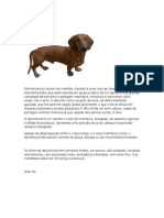 Untitled, PDF, Cães