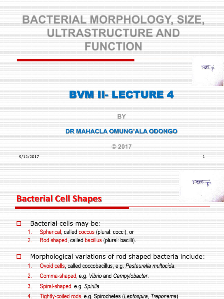 Bacterial Structure and Function | PDF | Cell Membrane | Bacteria