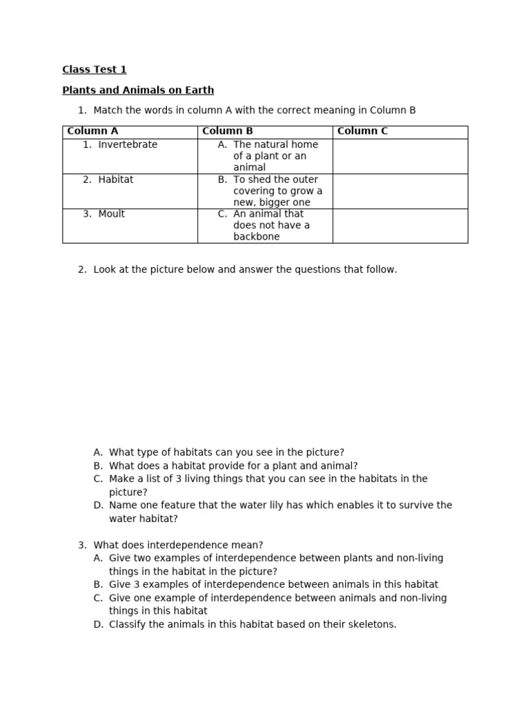 Class Test 1 | PDF