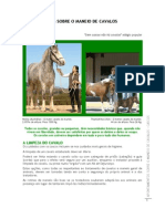 Apontamentos Sobre o Maneio de Cavalos Cascos Maria Isabel David Coelho Martins 2008