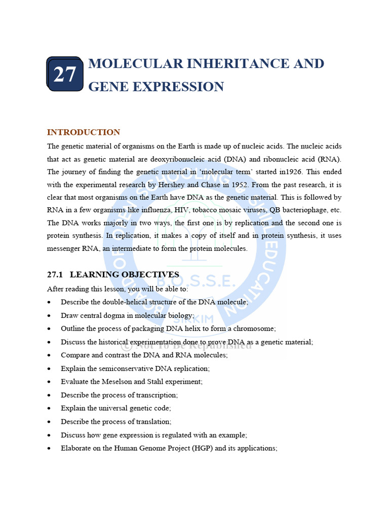 Molecular Inheritance and Gene Expression | PDF | Operon | Dna