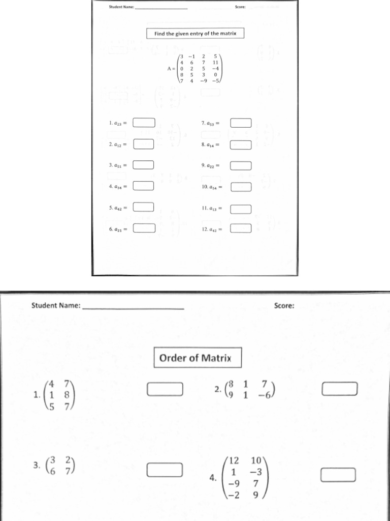 Matrices Worksheet | PDF