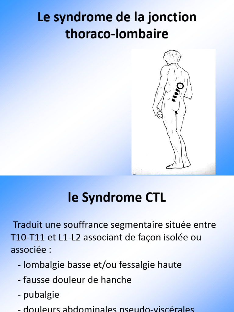 8 Charniere Thoraco-Lombaire | PDF | Appareil locomoteur | Anatomie humaine