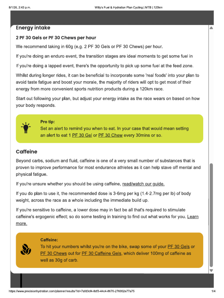 Energy Intake 2 Pres Hyd | PDF
