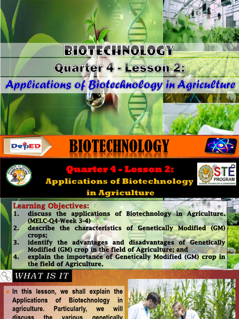 BIOTECH Q4 L2 App of Biotech in Agriculture | PDF | Genetically ...