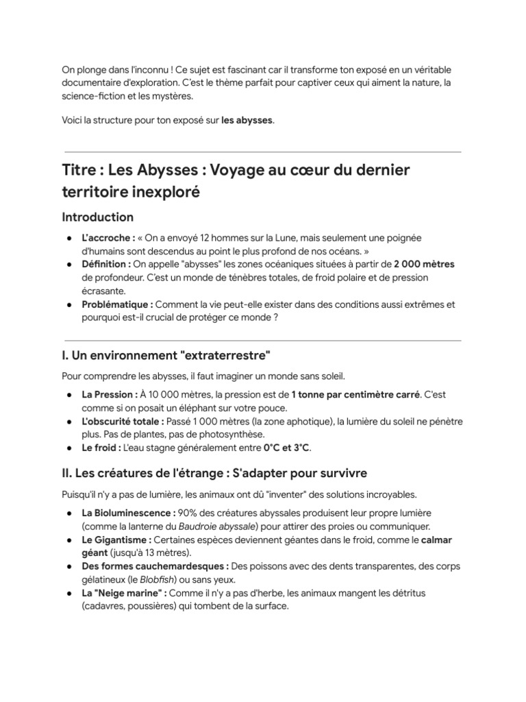 Plan D'exposé Sur Les Abysses | PDF