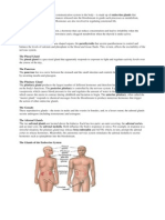 The Endocrine System