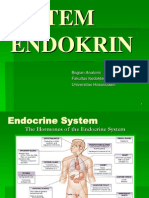 3 - Anatomy of Endoctrine Organs