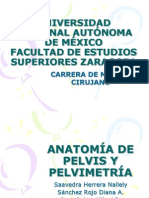 Anatomia de Pelvis y Pelvimetria 1231634850724499 1