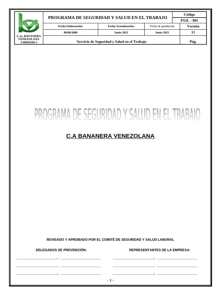 Programa de Seguridad y Salud Laboral | PDF | Seguridad y salud ...