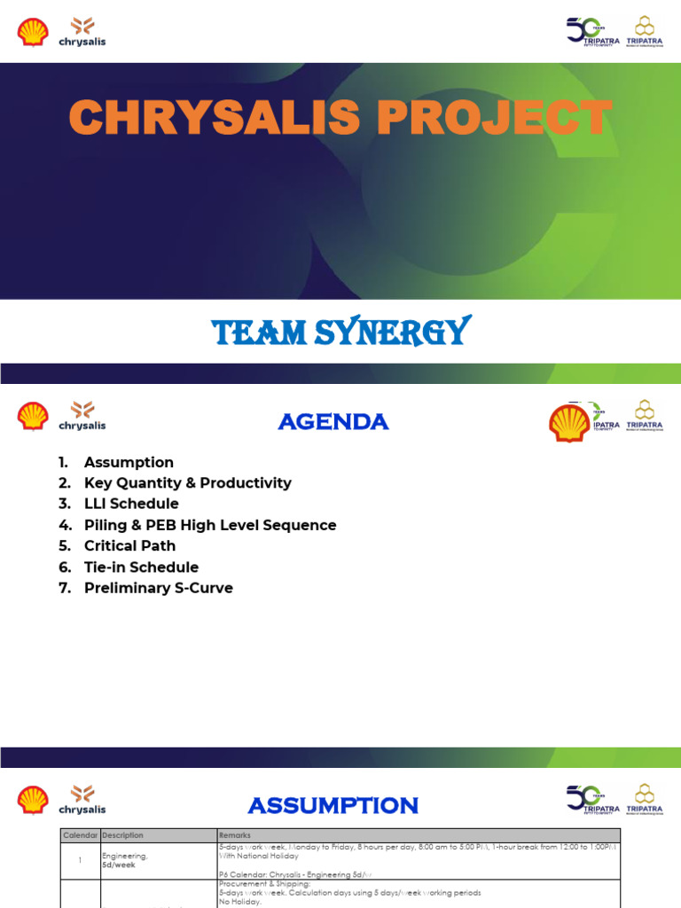 Shell Chrysalis - Overall Schedule Workshop | PDF | Pump | Water