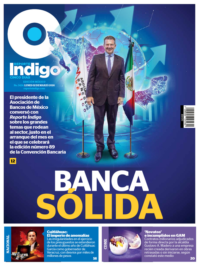 2 Reporte Índigo | PDF | Glóbulo rojo | México