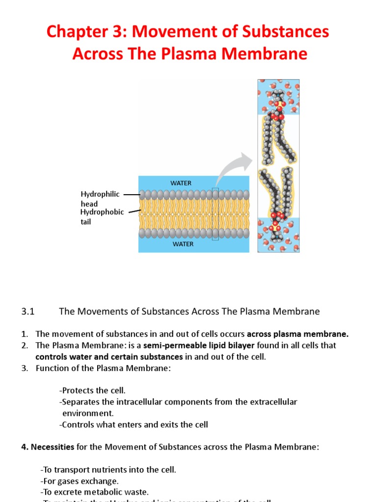 Movement of Substances Across Membrane | PDF | Cell Membrane | Osmosis