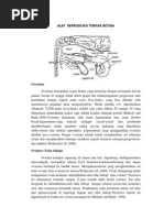 Alat Reproduksi Ternak Betina Dan Jantan