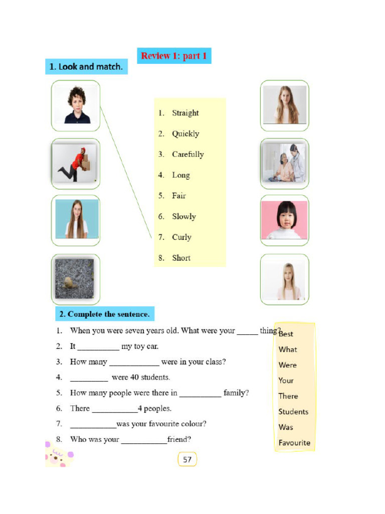 B TR Review 1 | PDF