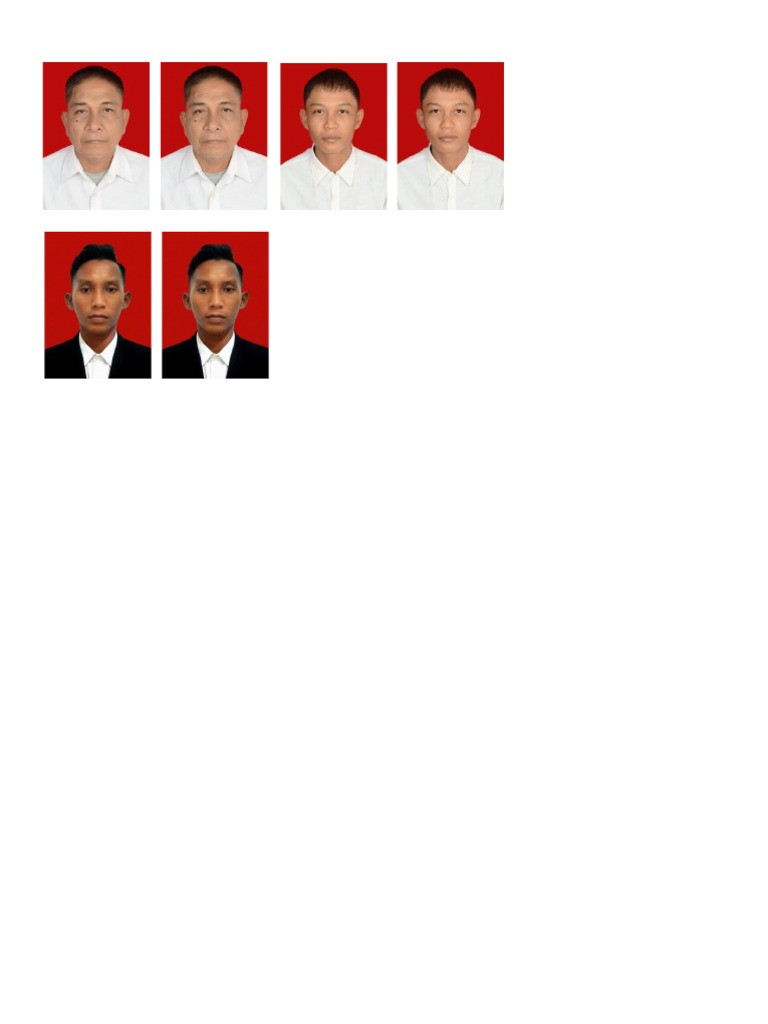 pas foto | PDF