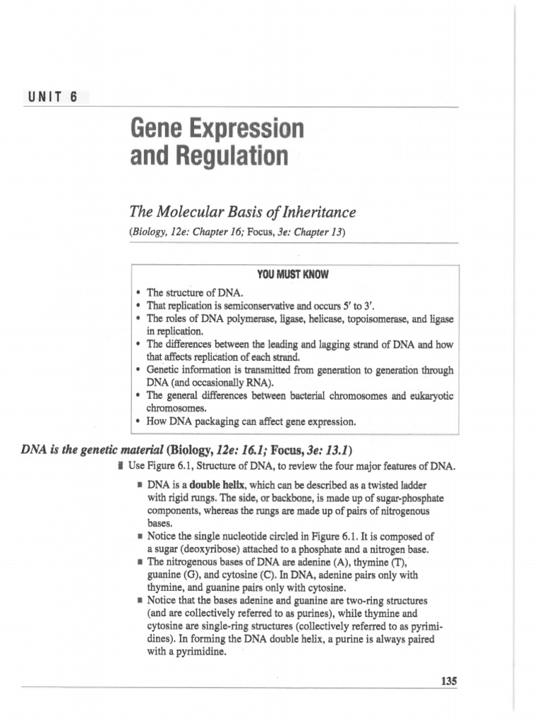 Unit 6 - Gene Expression and Regulation Reading | PDF