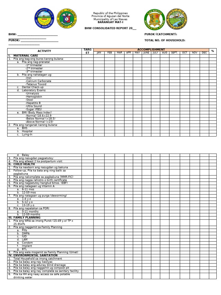 BHW Consolidated Form Monthly | PDF