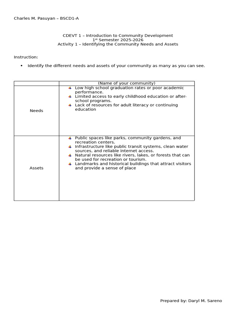 Activity 1 Community Analysis On Needs and Assets | PDF