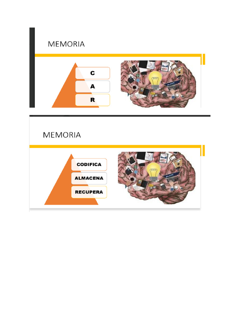 Proceso Cognitivo de La Memoria | PDF