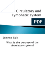 The Circulatory System