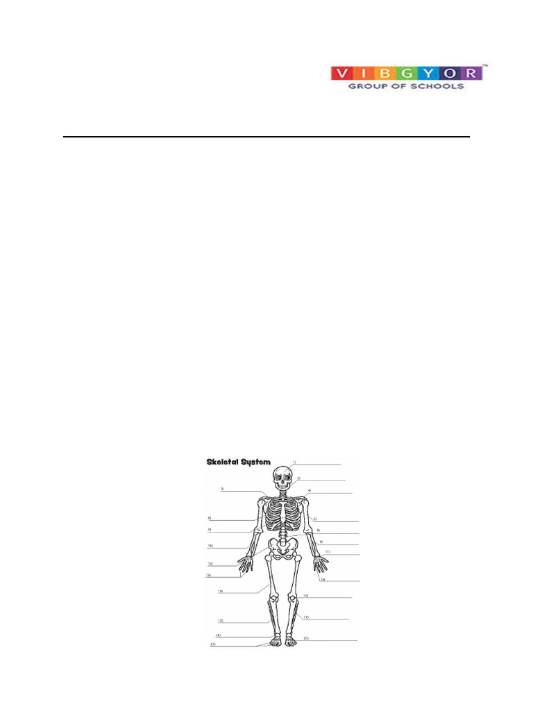 Gr-9 Skeleton - Movement and Locomotion | PDF