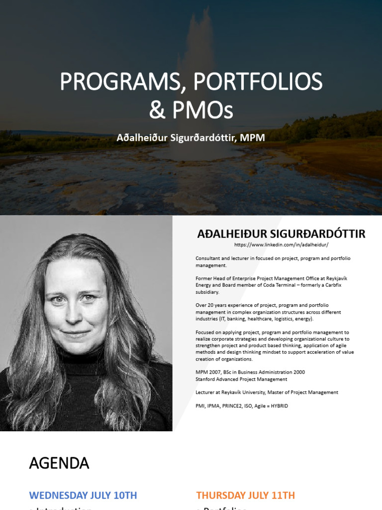 03. 2024 Programs and Portfolios - Handout | PDF | Project Management ...
