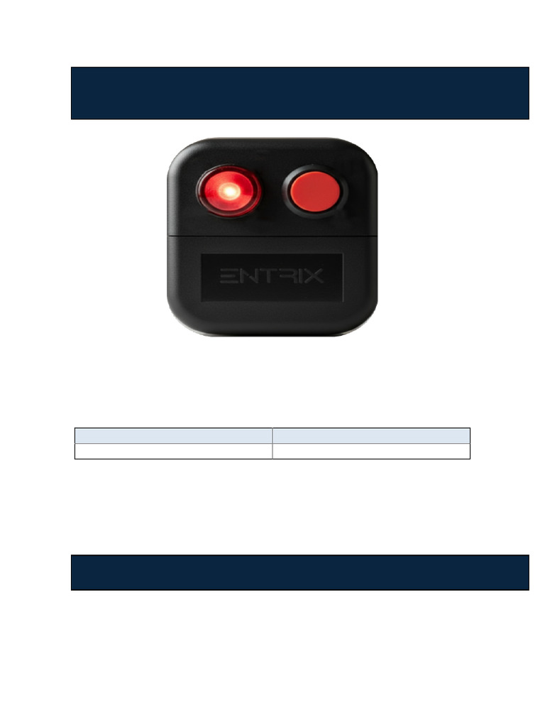 Entrix Visual Brochure With Image | PDF
