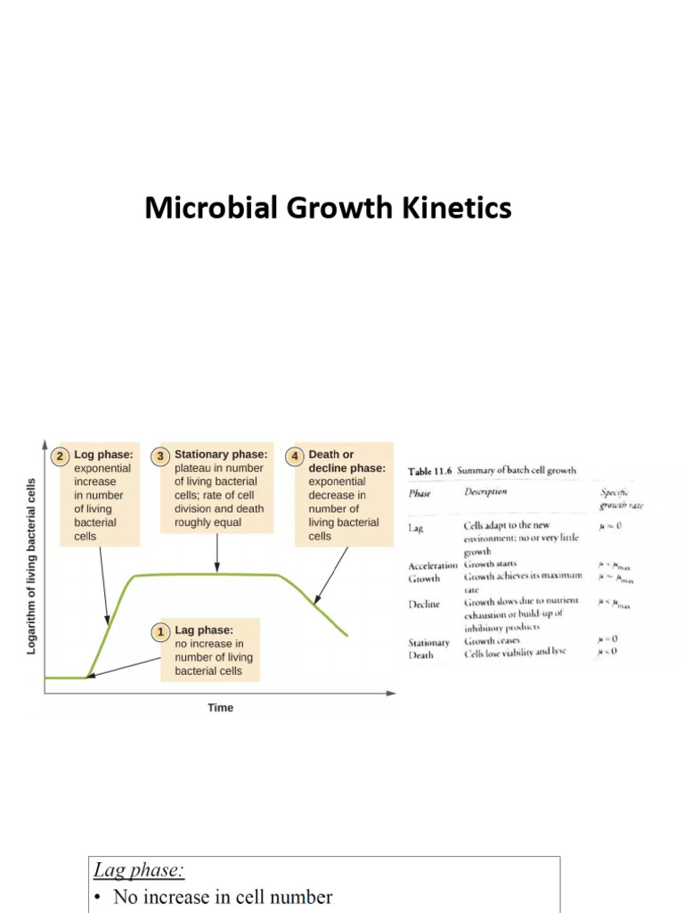 Microbial Growth Kinetics | PDF