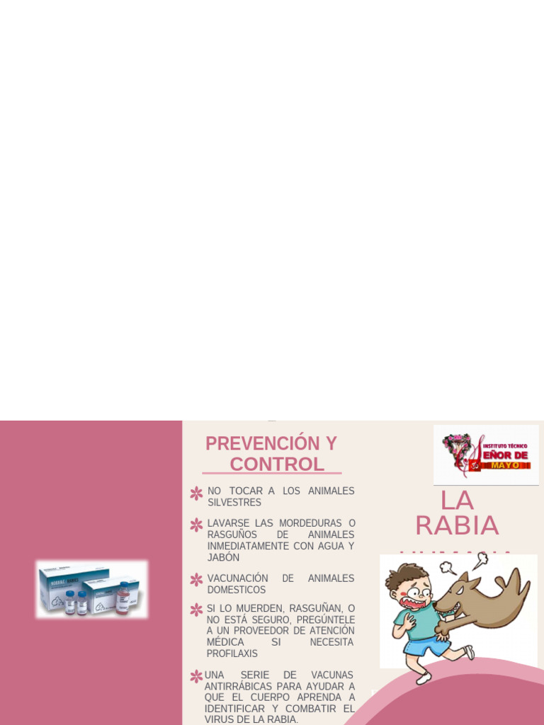 Triptico Rabia | PDF | Rabia | Enfermedades y trastornos
