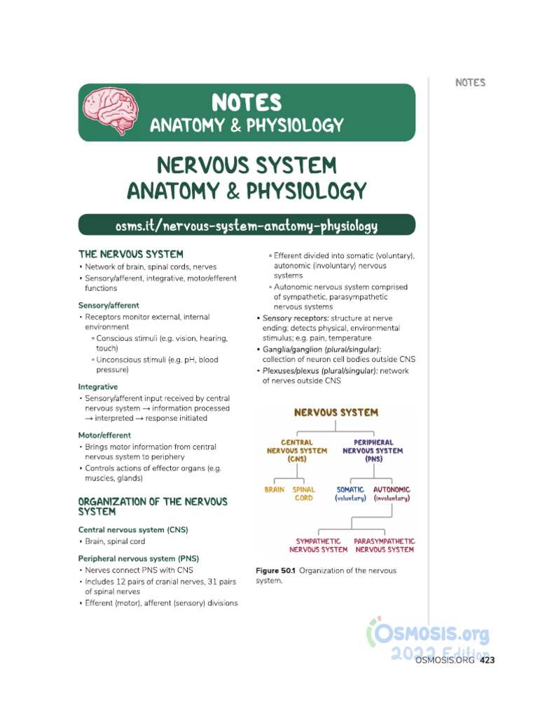 Nervous System Anatomy and Physiology - Osmosis | PDF