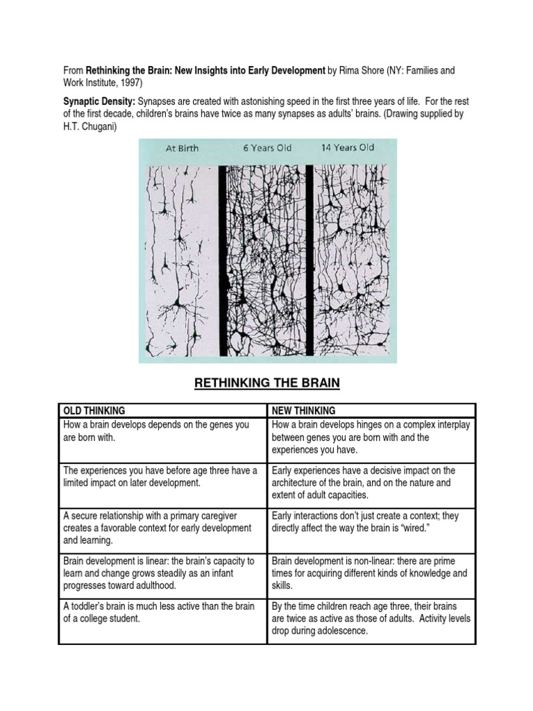 Rethinking The Brain - New Insights Into Early Development | PDF