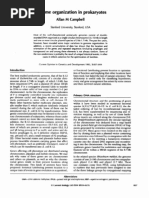 Download Genome Organization in Prokaryotes by Vijay Kishore SN100739409 doc pdf