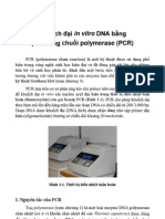 PCR