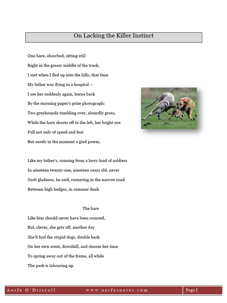 Ni Chuilleanain - On Lacking The Killer Instinct | PDF | Poetry