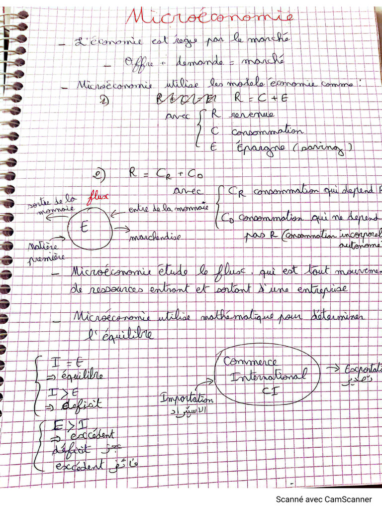 Micro | PDF