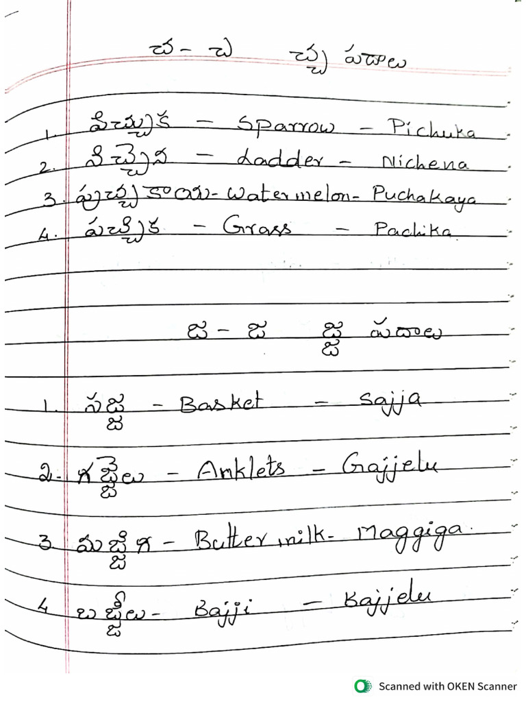Class 3 Term 2 Notes | PDF