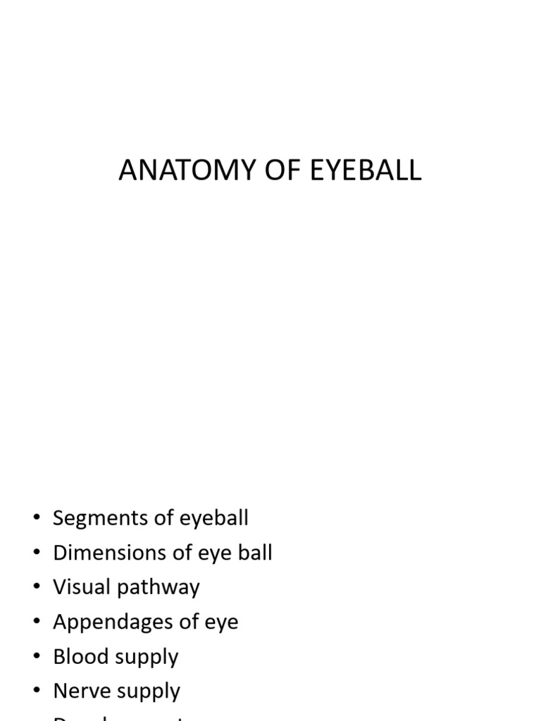 Anatomyofeyeball 1 240418144933 8fc82b6b | PDF | Human Eye | Epithelium