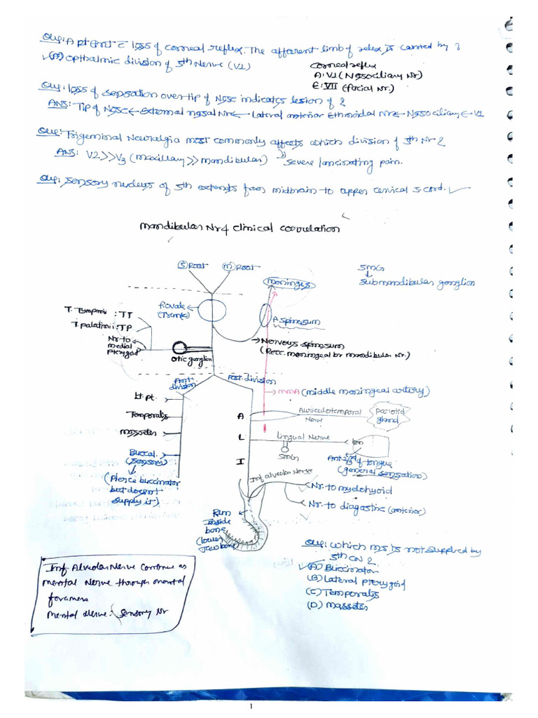 Important Flow Chart | PDF