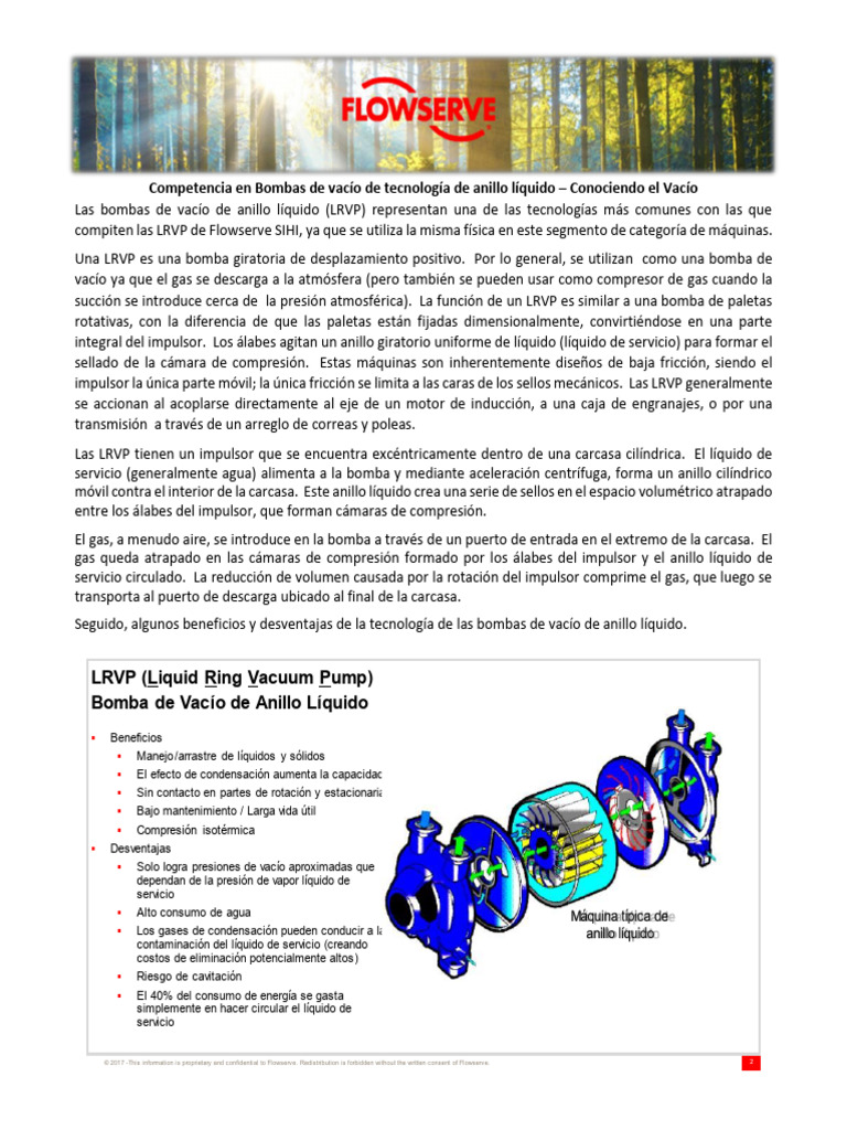 Competencia en Bombas de Vacío de Tecnología de Anillo Líquido_D117 ...