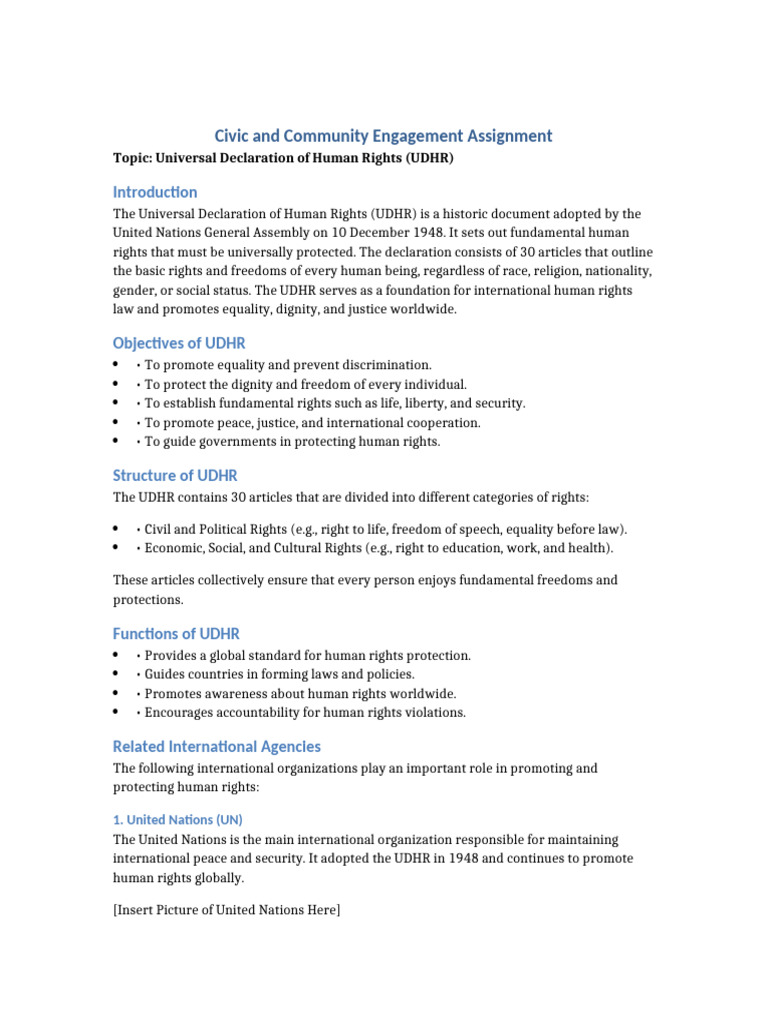 UDHR Assignment Civic and Community Engagement | PDF | Human Rights ...
