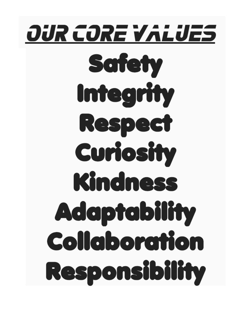 Our Core Values | PDF