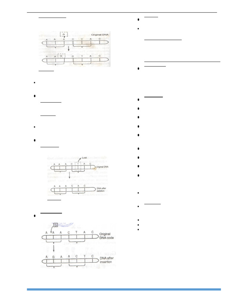 Form - 4 - Notes Applications of Genetic and Evolution | PDF | Blood ...