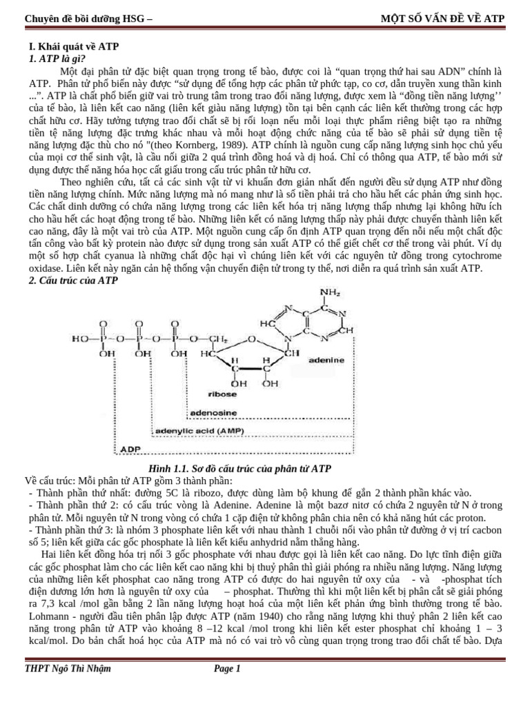 ATP (1) | PDF