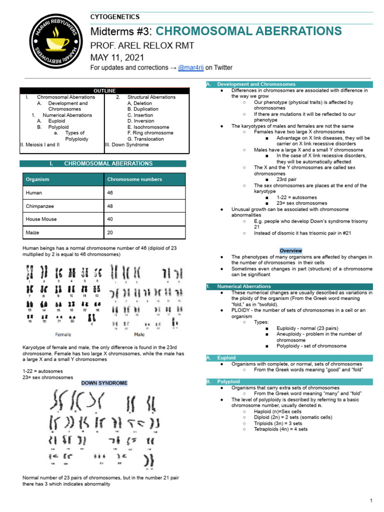 CYTOGEN F3 | PDF | Ploidy | Chromosome