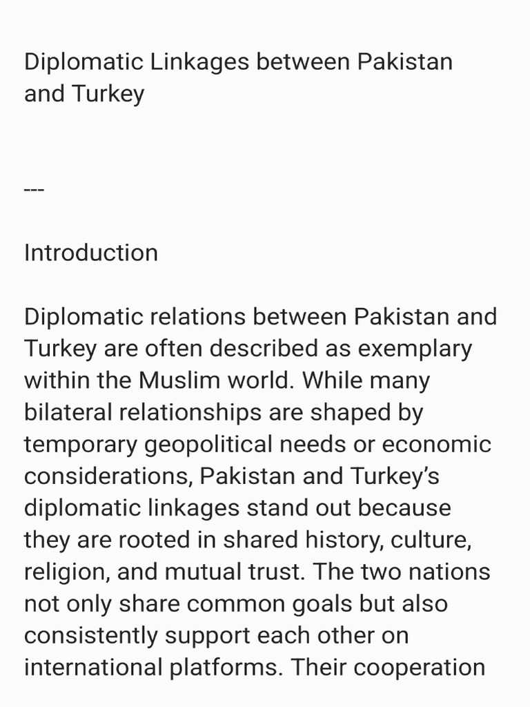 Diplomatic Ties | PDF