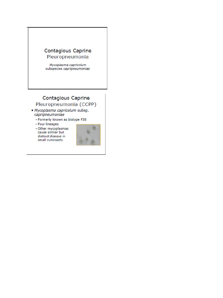 Lecture 8 CCPP | PDF