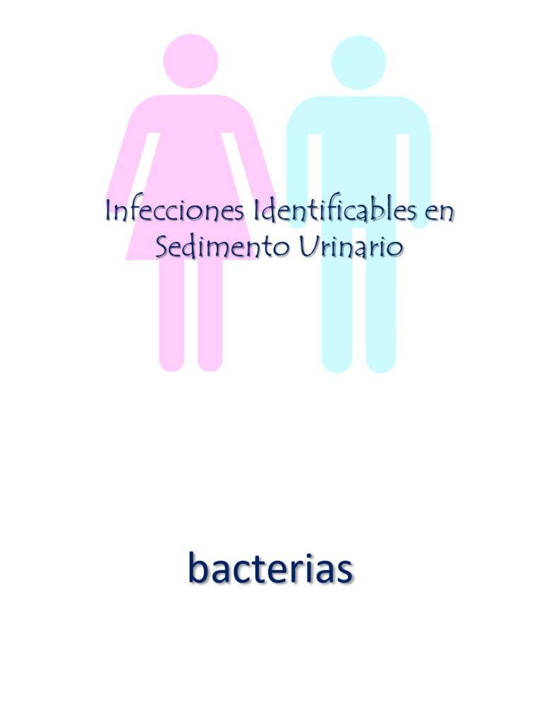 Infecciones Identificables en Sedimento Urinario | PDF
