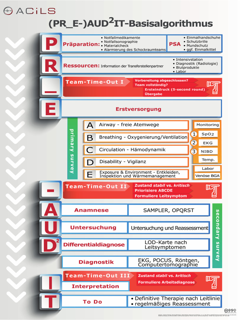 Pr E-Audit Poster-A1 2023 | PDF