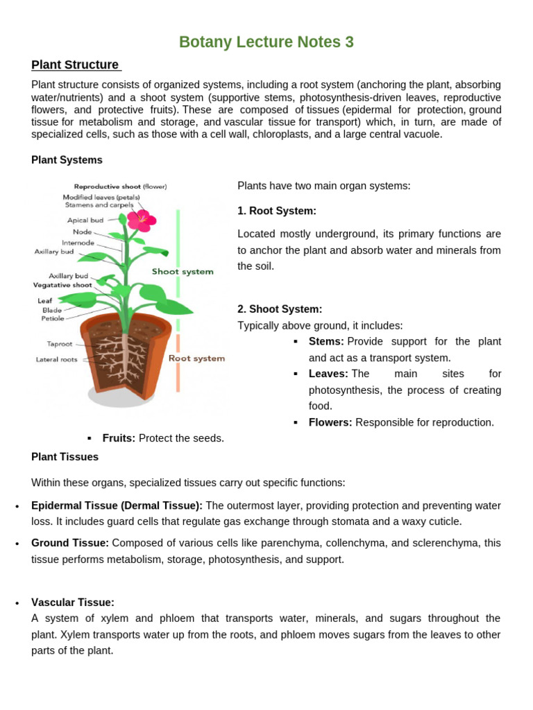 Botany Lecture Notes 1 | PDF | Fruit | Leaf
